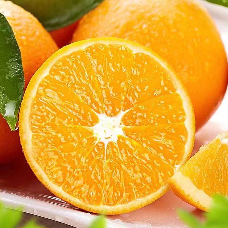 闵沪科技正宗整箱脐橙手剥冰糖甜橙当季新鲜水果橙子赣南脐橙包邮,水产肉类/新鲜蔬果/熟食,橙,淘宝优惠券,粉丝福利购,淘宝优惠卷