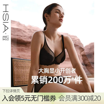 遐【倾城之恋】大胸显小全罩杯文胸防下垂大码显瘦蕾丝薄款内衣女