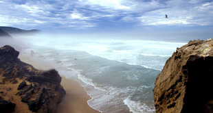 带喷头 海风 咸空气  气味控 香味图书馆 demeter香水 2ml