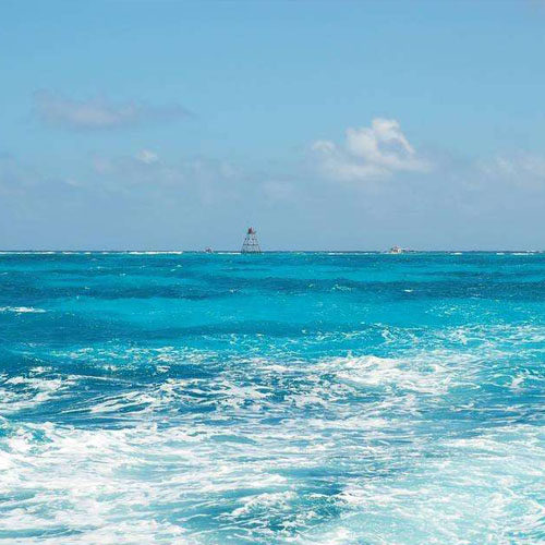 香味图书馆 海洋 大海 Ocean 香味demeter 香水 2ml