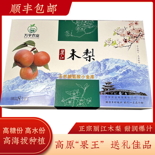 木梨丽江脆甜多汁云南当季 高原果王新鲜水果木崇凤晚熟梨礼盒顺丰