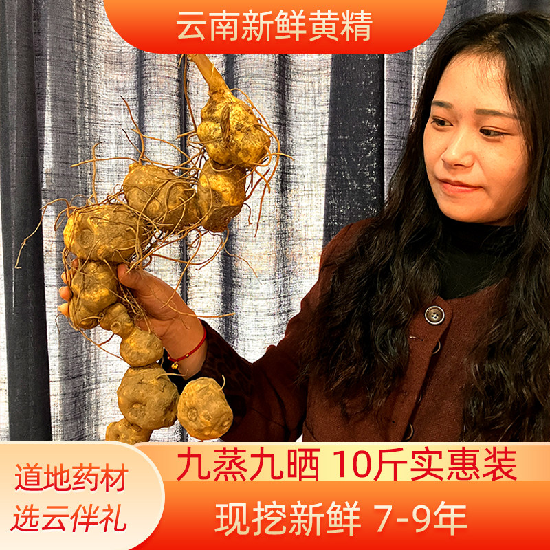 云南现挖新鲜野生黄精九制黄精专用10斤正宗深山正品药材滋补煲汤