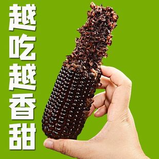 东北黑糯玉米甜糯玉米棒花青素早餐真空3根 6斤 25年源头12根5