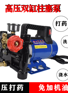 农用高压双缸柱塞打药机泵隆迈手提12v24v48v60v220v果树电动喷雾