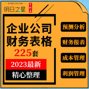 企业公司财务预测分析预算成本材料销售收入利润费用管理表格模板