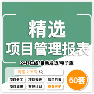 项目管理月报周报表excel表格团队分工进度跟踪甘特图统计分析表
