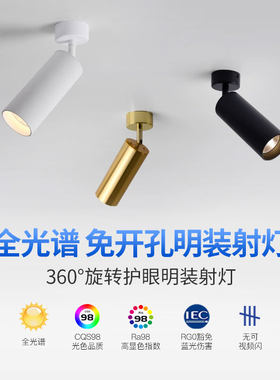 led明装射灯可调角度单个创意家用背景墙吸顶式聚光照画轨道射灯