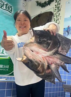 淳牌现切鱼头千岛湖直发无土腥味
