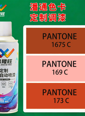 信隆旺潘通色卡168C/169C/170C/172C手喷漆电动车自喷漆金属油漆