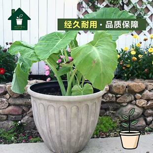 环球塑料花盆外贸圆形花盆竖条纹装饰户外种植盆栽花器种树盆