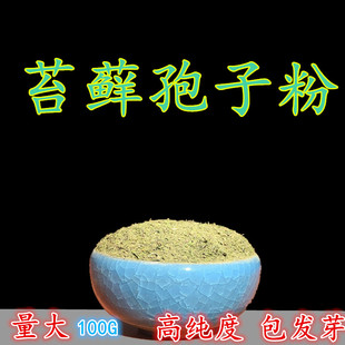 苔藓孢子粉青苔种子吸水石假山花盆铺面绿植雨林缸水陆缸种植植物