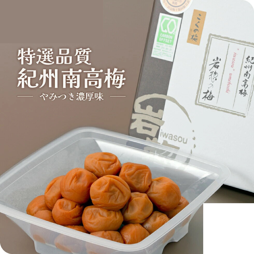 日本直邮 和歌山纪州南高梅梅干 盐分6% 奢华 浓郁梅 300g