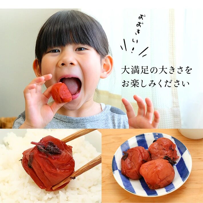 日本直邮和歌山手信南高苑纪州南高梅紫苏梅1KG*2盒家庭装盐分7%
