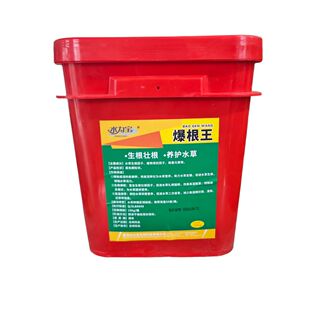 爆根王水产养殖专用水草肥生根壮根养护水草发白根适用10亩虾蟹塘
