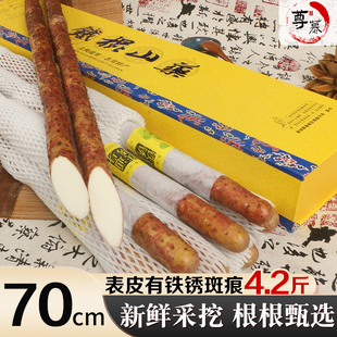 农家特产铁棍山药礼盒装新鲜河南焦作温县正宗铁杆紫怀淮山自种