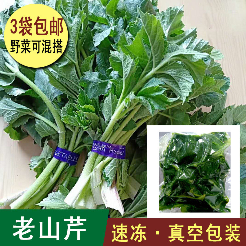 25年新东北野生老山芹大兴安岭速冻真空山野菜老桑芹500g一份