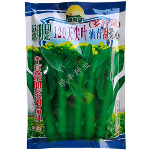 亚明 绿明星菜心尖叶120天种子基地专用油青菜花春秋冬季蔬菜种孑