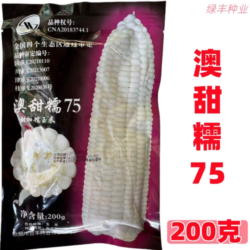 合丰澳甜糯75玉米种子 国审甜加糯1:3 早熟矮杆大棒白糯玉米籽
