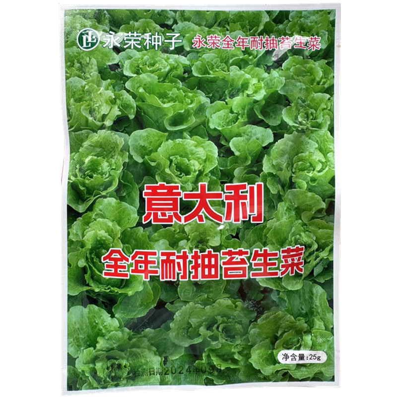 永荣意大利生菜种子全年耐抽苔 耐热耐寒耐抽苔春夏秋冬蔬菜种孑