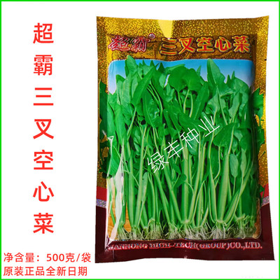 超霸 三叉空心菜种子 三梗空心菜蕹菜通菜良种春夏秋冬季蔬菜种孑