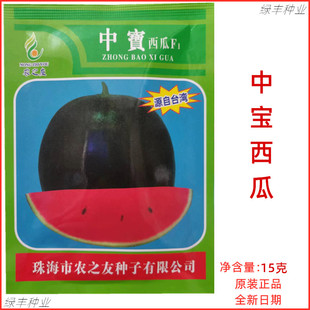 农之友 中宝西瓜种子皮薄而韧爽脆多汁皮黑绿色春夏秋季西瓜种孑