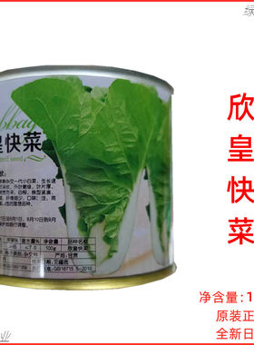 北京硕源欣皇快菜种子早熟生长快速外叶嫩绿叶面厚无毛刺快菜种孑