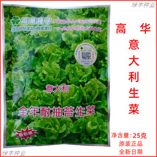 高华意大利生菜种子全年耐抽苔生菜种籽耐热耐寒抗病四季生菜种孑