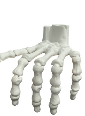 3D打印骷髅手可活动万圣节系列桌面创意手办模型整蛊道具骨骼手3d