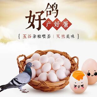 鸽子蛋30枚600 克农家散养新鲜鸽子蛋30枚孕妇宝宝辅食官方旗舰店