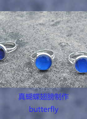 大蓝闪蝴蝶标本翅膀原创设计手