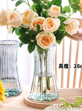 红掌水培花瓶春羽水培轻奢高级感大口径龟背竹富贵竹观音竹专用
