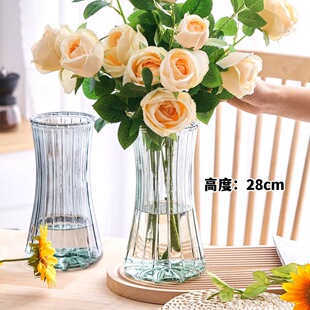 红掌水培花瓶春羽水培轻奢高级感大口径龟背竹富贵竹观音竹专用