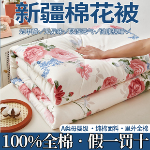 100纯棉新疆棉花被子被芯春秋被空调被冬季被子加厚 被子冬被棉被