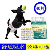 狗狗尿不湿小公狗专用纸尿裤 姨妈巾防乱尿 宠物母狗生理期安全裤