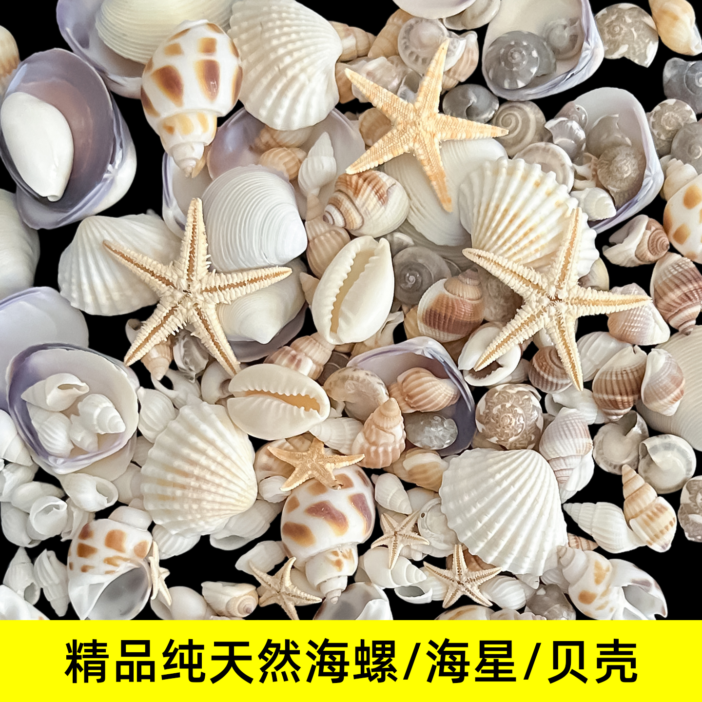 天然原生态海螺贝壳相框装饰画风铃滴胶手工diy材料配件迷你海星图片