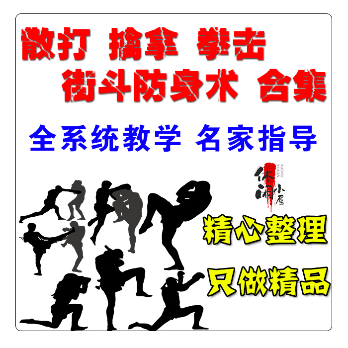 散打擒拿格斗拳击街斗防身术传统现代名家指导教学素材资源合集