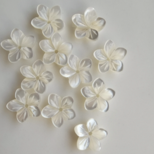 深海蝶贝8mm10mm白蝶贝黄碟贝旋花簪娘手工DIY贝壳饰品配件材料