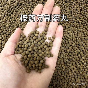 中药材加工药丸水丸水泛丸水蜜丸道地中草药材店铺梧桐子大小药丸