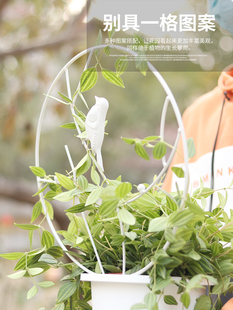 生长魔励盆栽藤蔓植物造型花架铁艺铁制花支架爬藤架雪莹绿萝花架