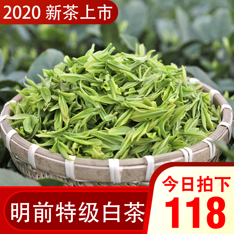 安吉白茶2020年新茶上市春茶明前特级高档正宗高品质100g珍稀茶叶