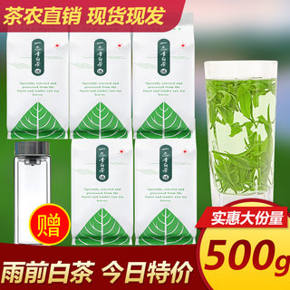 安吉白茶2022年新茶叶春茶浙江茶农正宗雨前一级500g散装珍稀绿茶