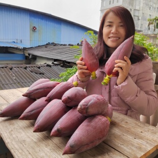 自家种新鲜芭蕉花香蕉花米蕉花西贡蕉花等炒菜炖汤药用整个发 包邮