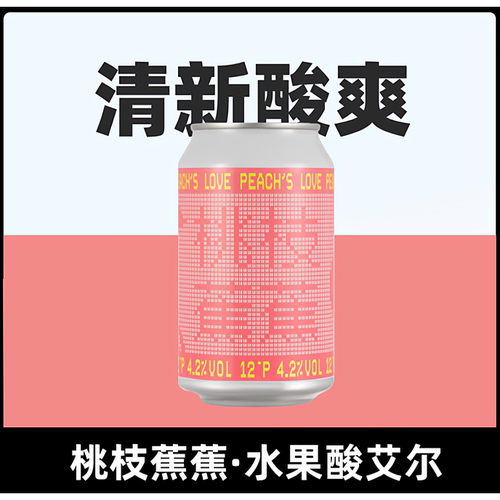 艾尔精酿葡萄水果啤酒