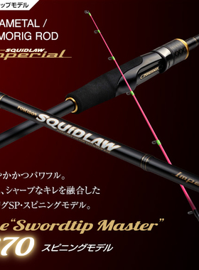 25新款EG EVERGREEN OMORIG ROD路亚竿鱿鱼竿NIMS-70ML-ST