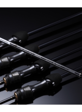 25新款 TAILWALK AJIST SD 路亚竿小根竿