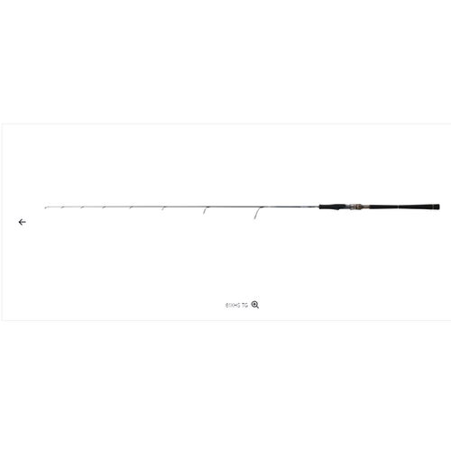 25新款DAIWA 达亿瓦 SALTIGA LJ EX铁板竿