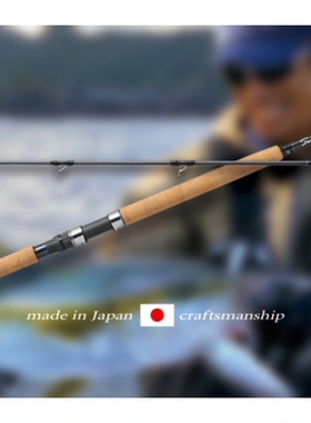 PALMS椰树SFJS-96X3H岸投铁板竿2021新款