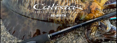 GA山鹿Calista路亚竿鱿鱼竿