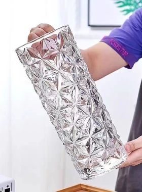 大号玻璃花瓶摆件客厅插花轻奢高级感透明水养插花水培富贵竹专用