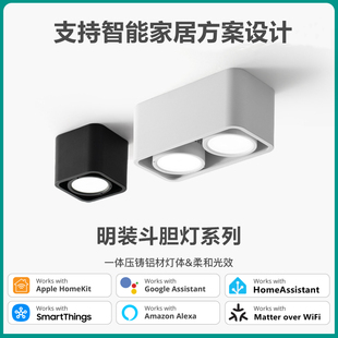 Matter Homekit智能明装斗胆灯方形筒射灯客厅吸顶防眩无主灯Siri